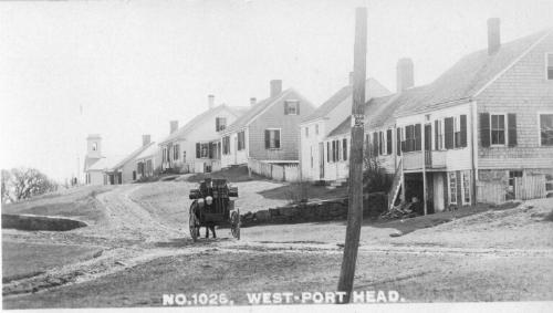 005-500.jpg