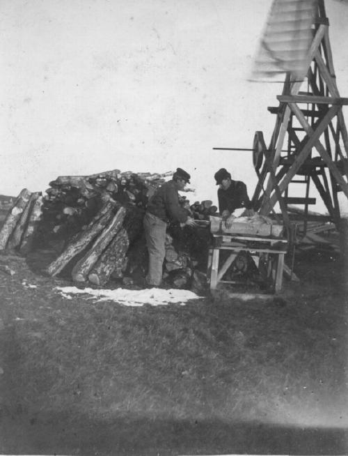 011-500.jpg