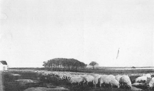 048-500.jpg
