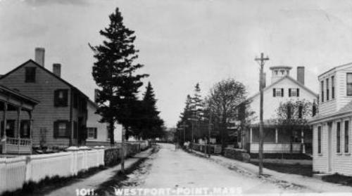 113-500.jpg