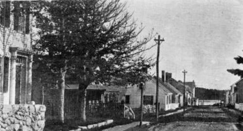 127-500.jpg