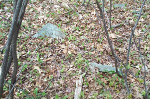 1494 Figure 5-6 cemetery