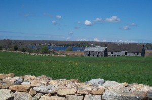 1494 Figure 5-7 farm fields