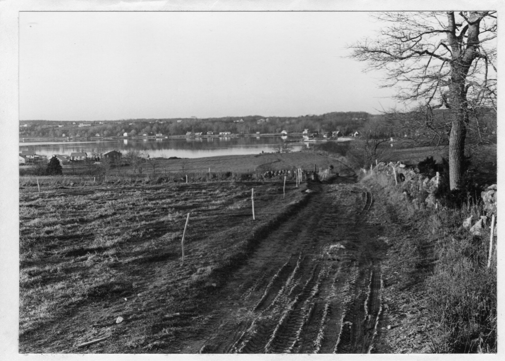 Acheson060