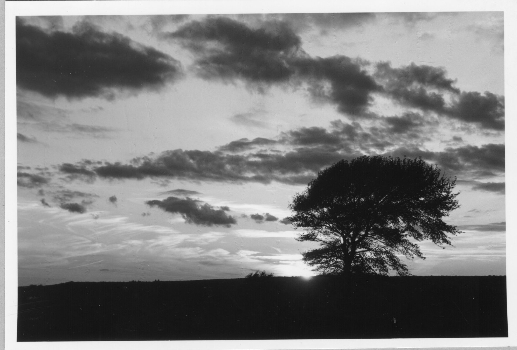 Brunswick-ME-from-Ralph-Mar-2005