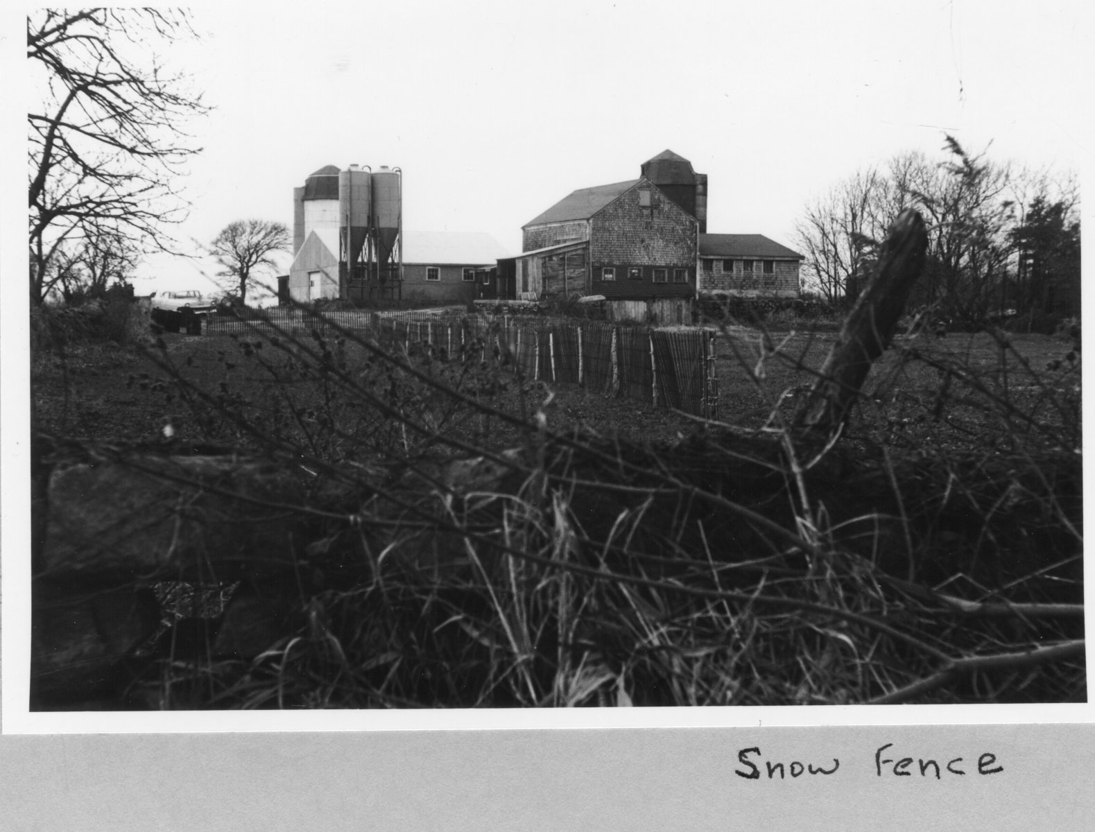 Brunswick-ME-snow-fence-Ralph