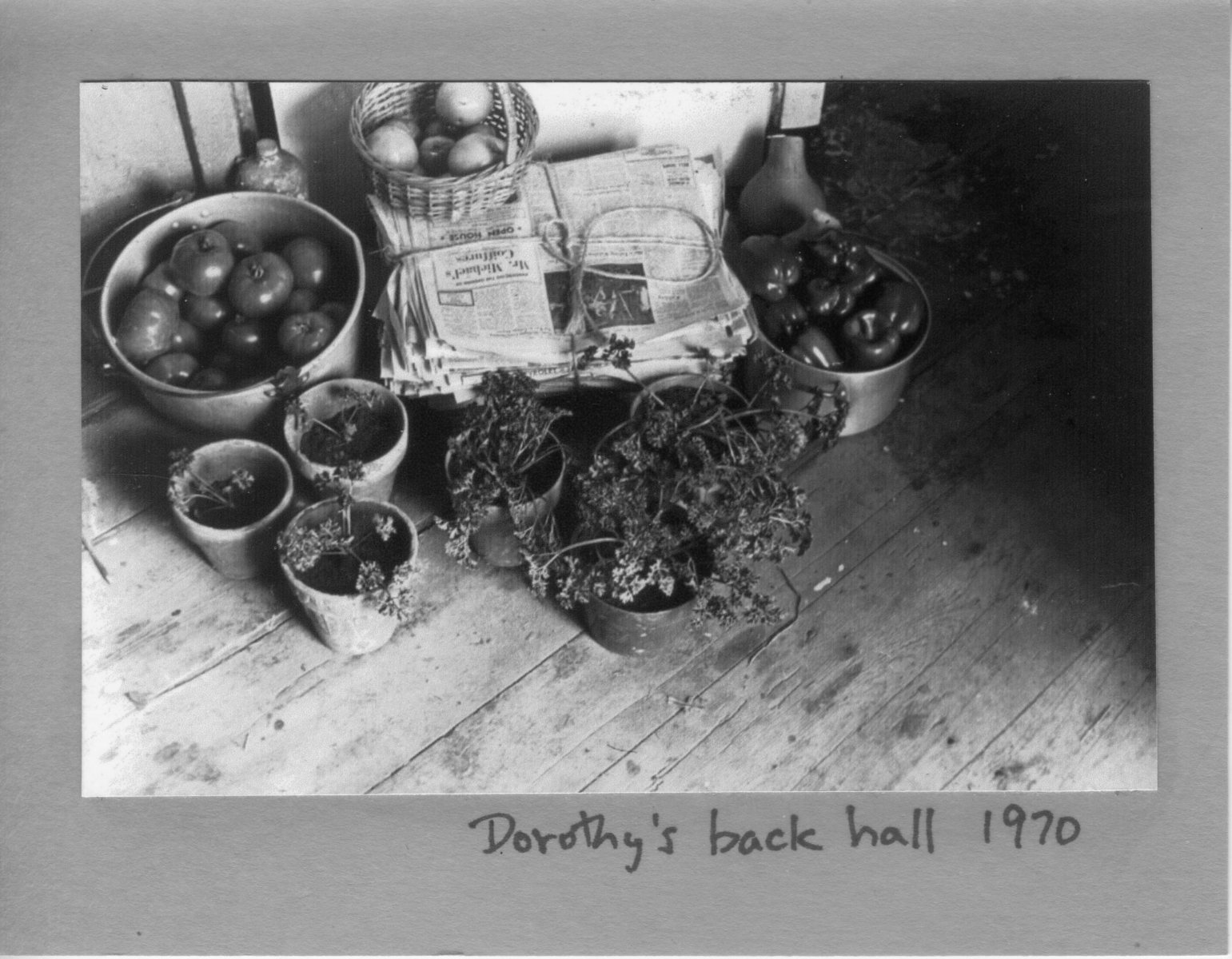 Dorothys-back-hall-1970