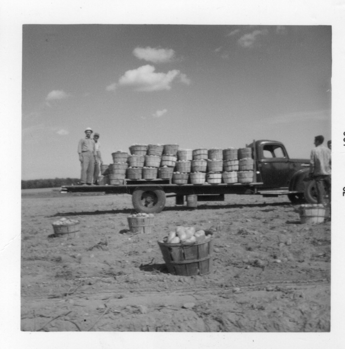 Boan-Farm113
