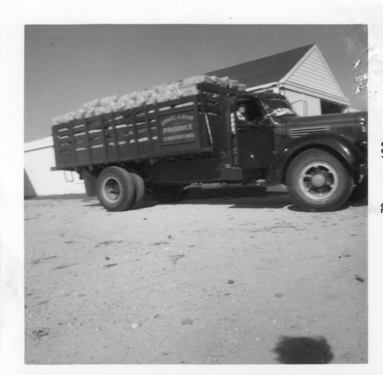 Boan-Farm115