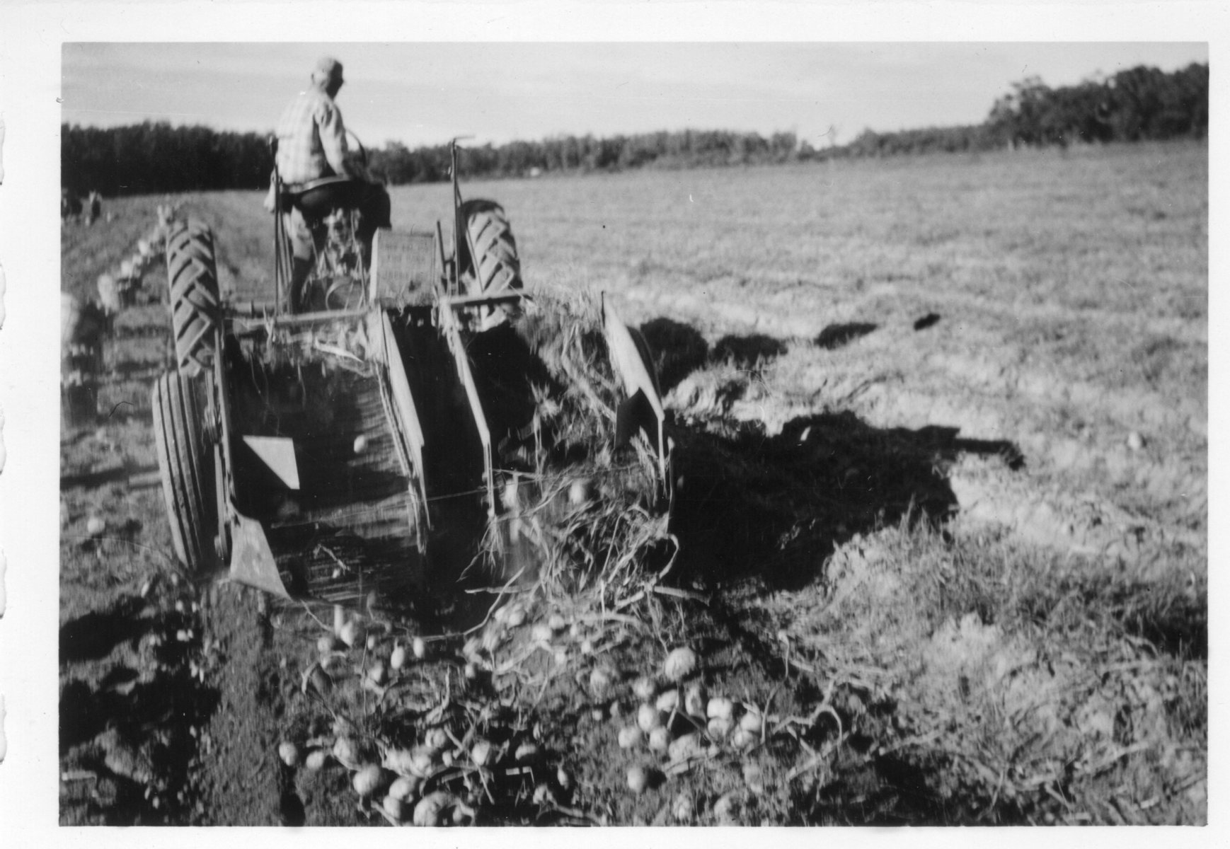 Boan-Farm121