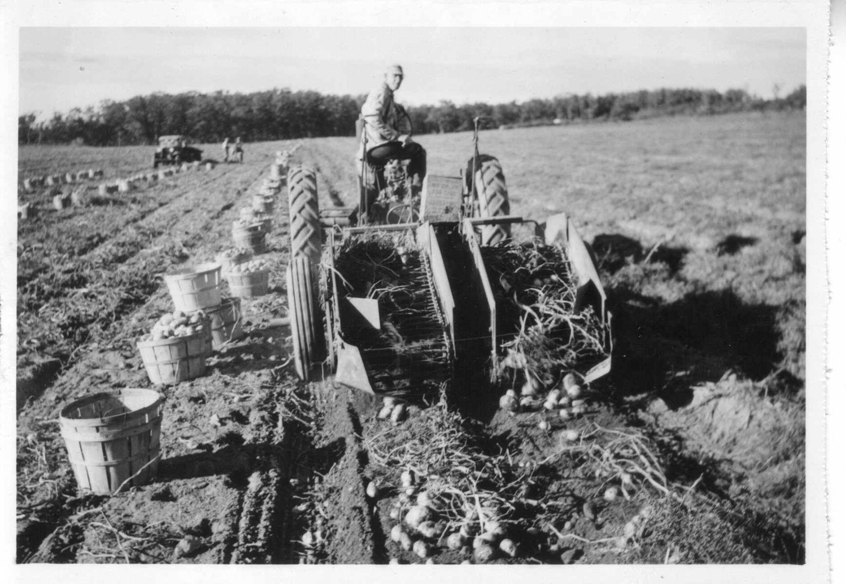 Boan-Farm122