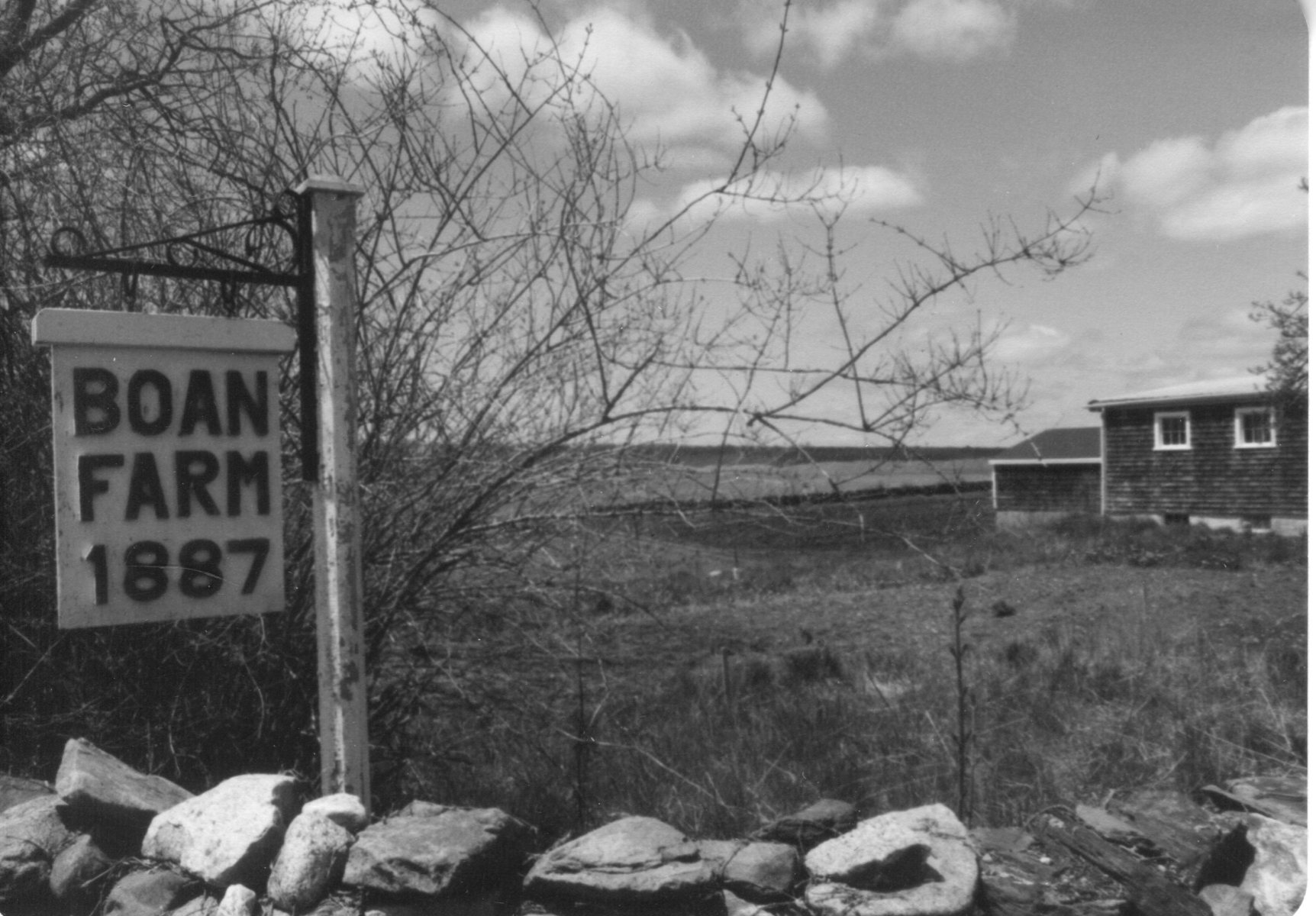 Boan-Farm124