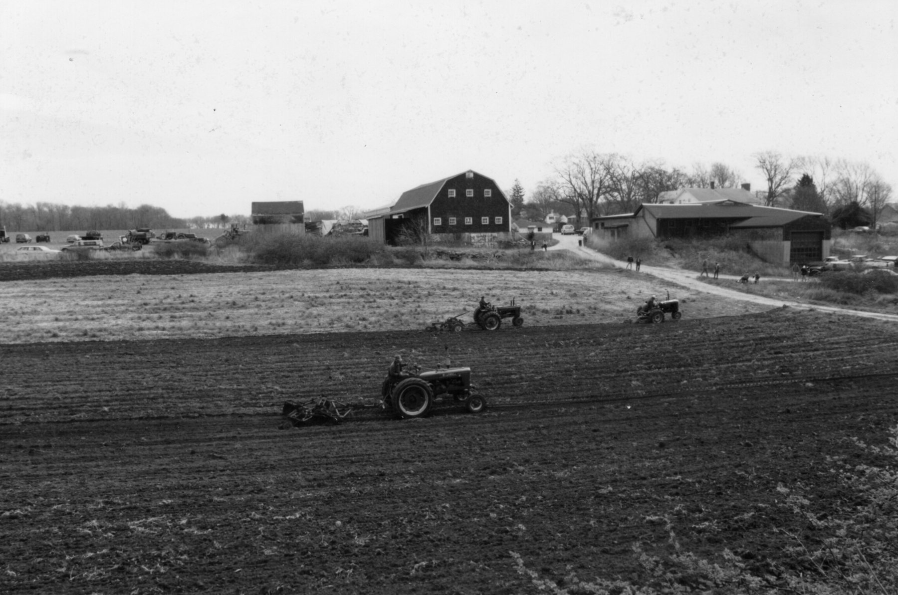 Boan-Farm126