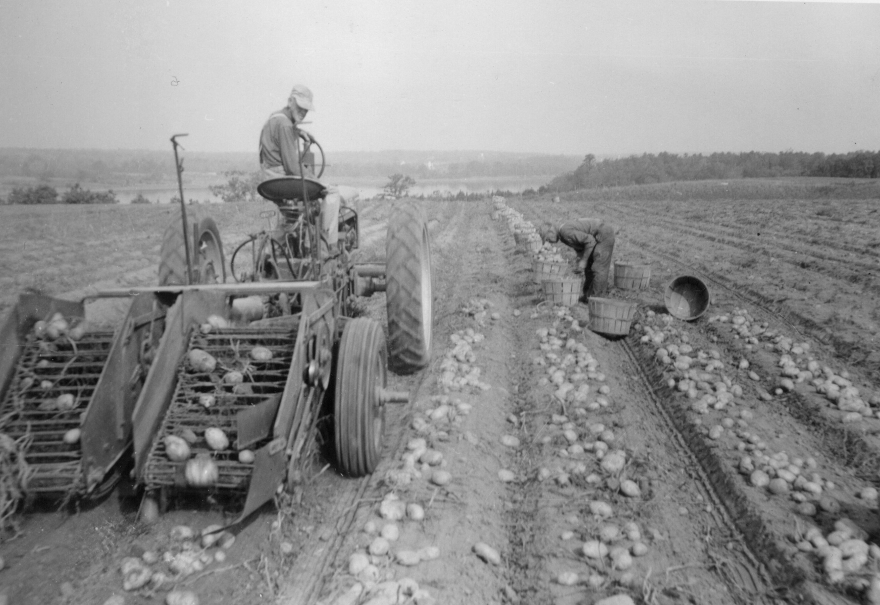 Boan-Farm129