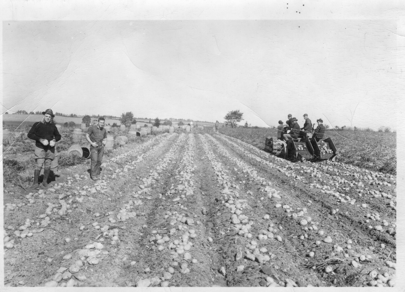 Boan-Farm130