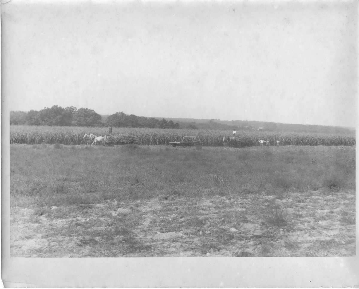 Boan-Farm133