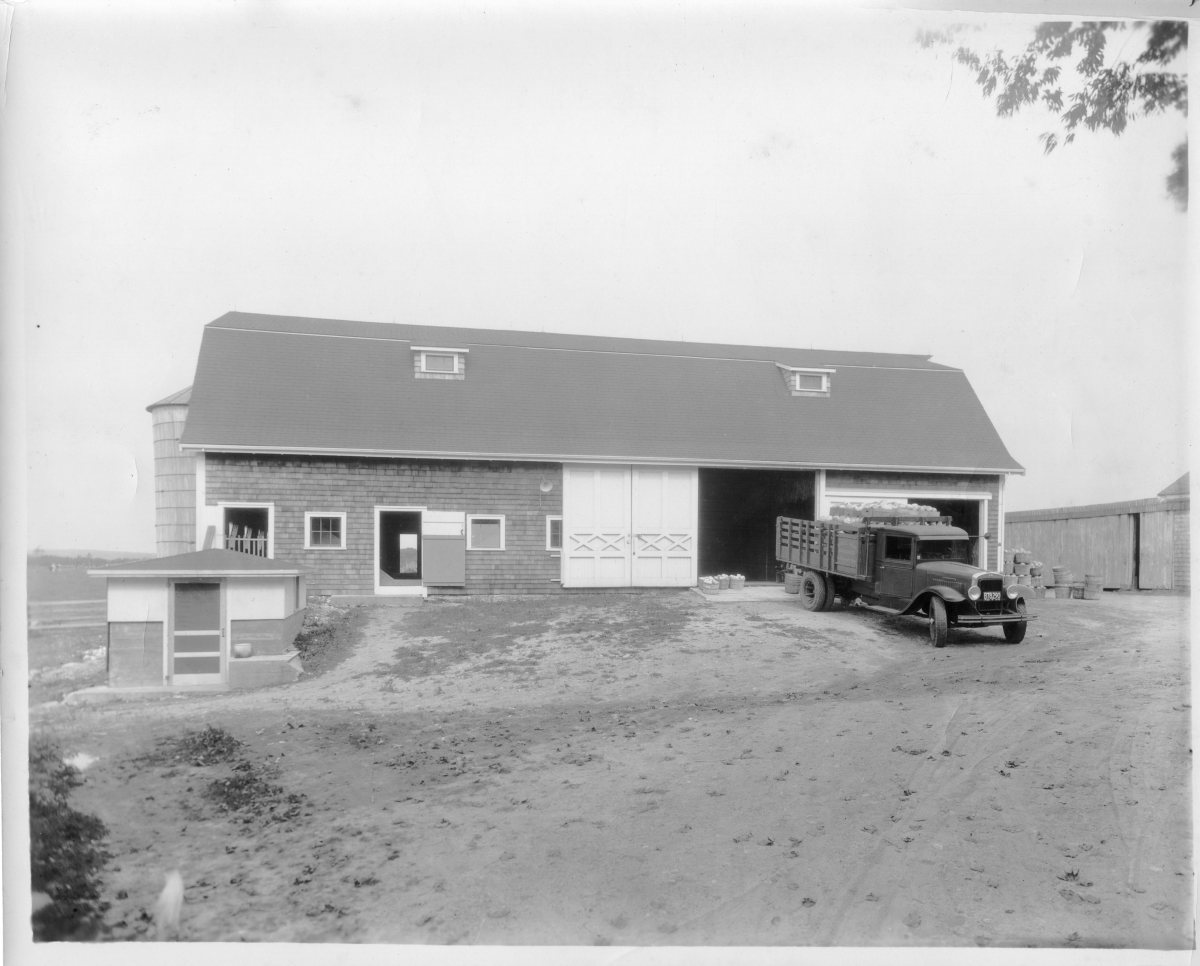 Boan-Farm135