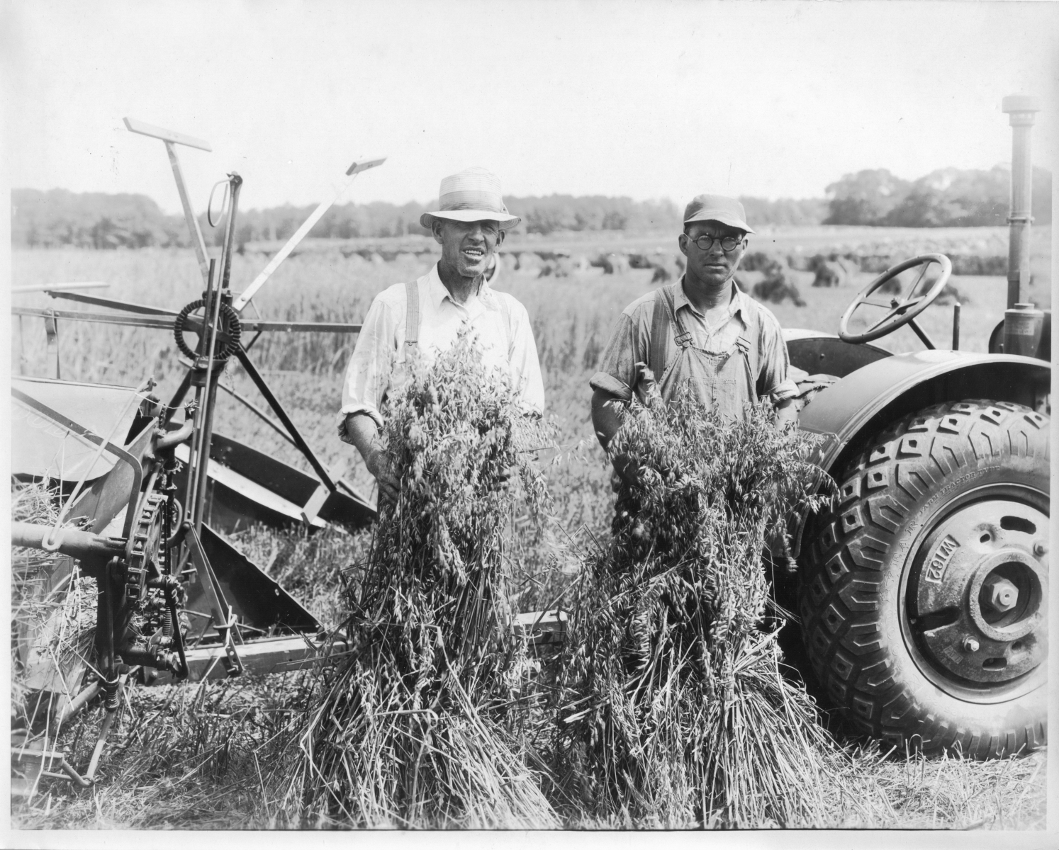 Boan-Farm138