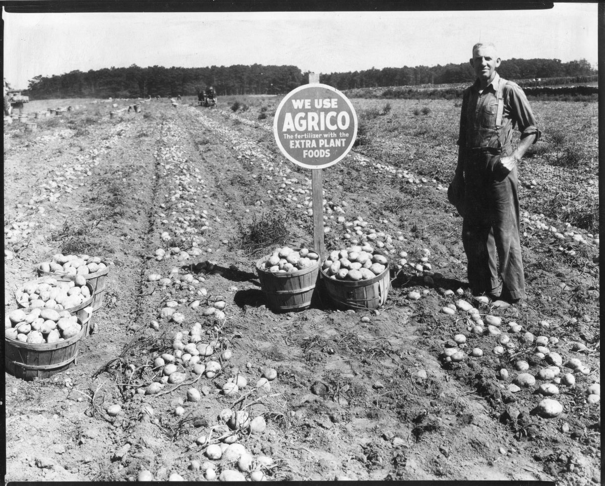 Boan-Farm139