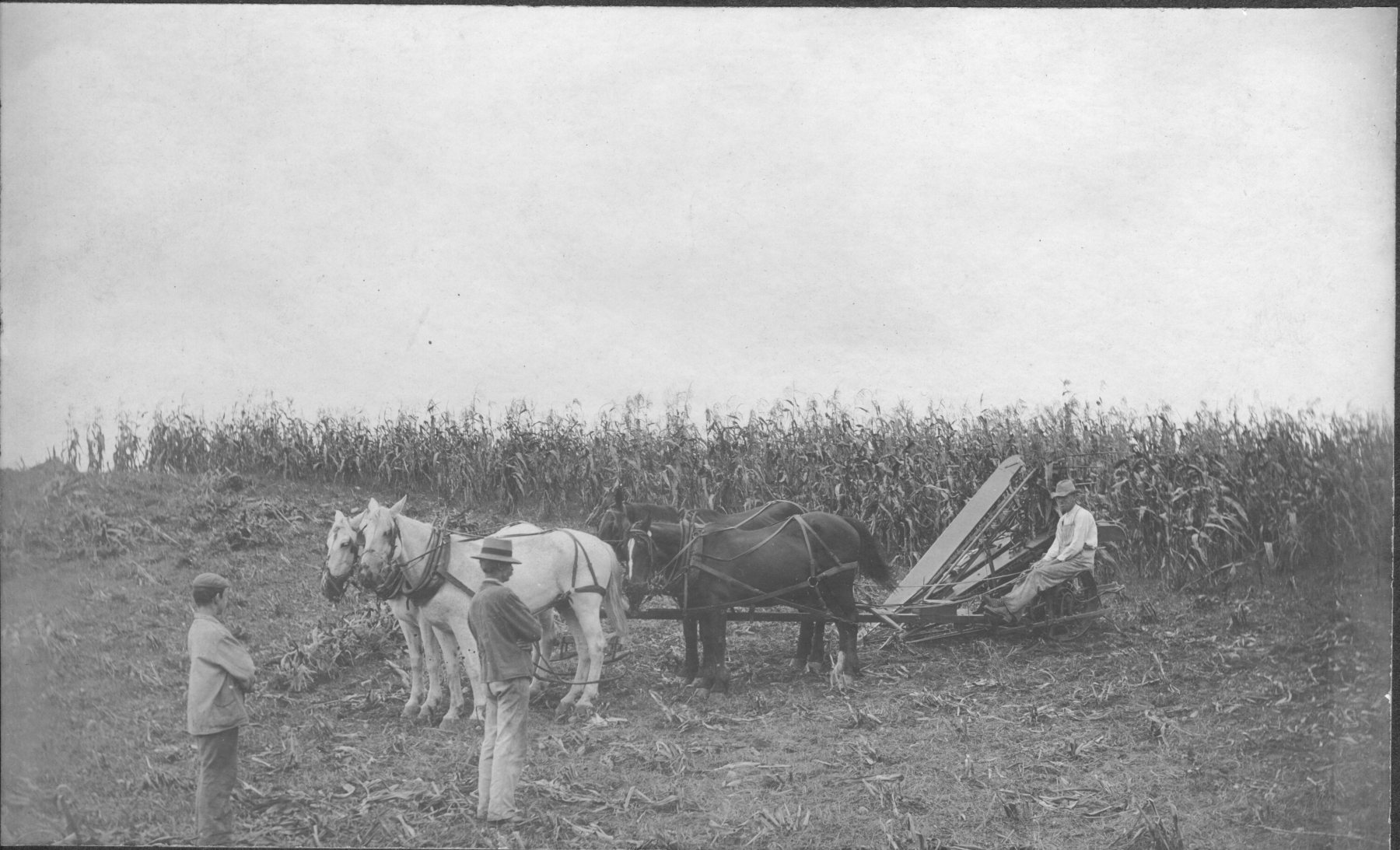 Boan-Farm140