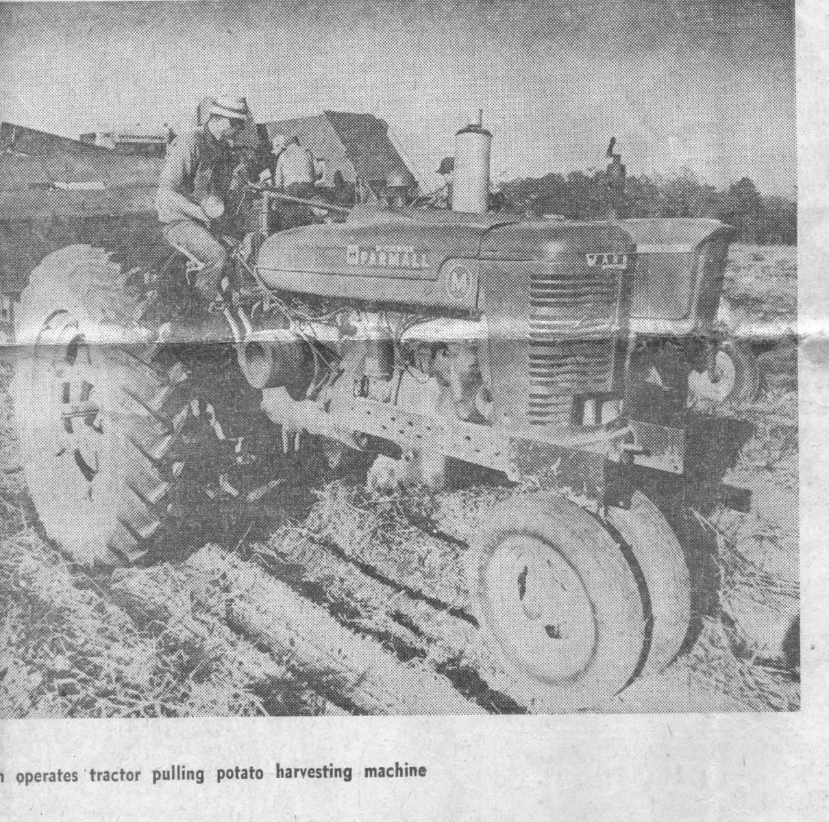 Boan-Farm149