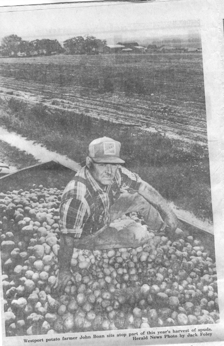 Harvest-of-spuds