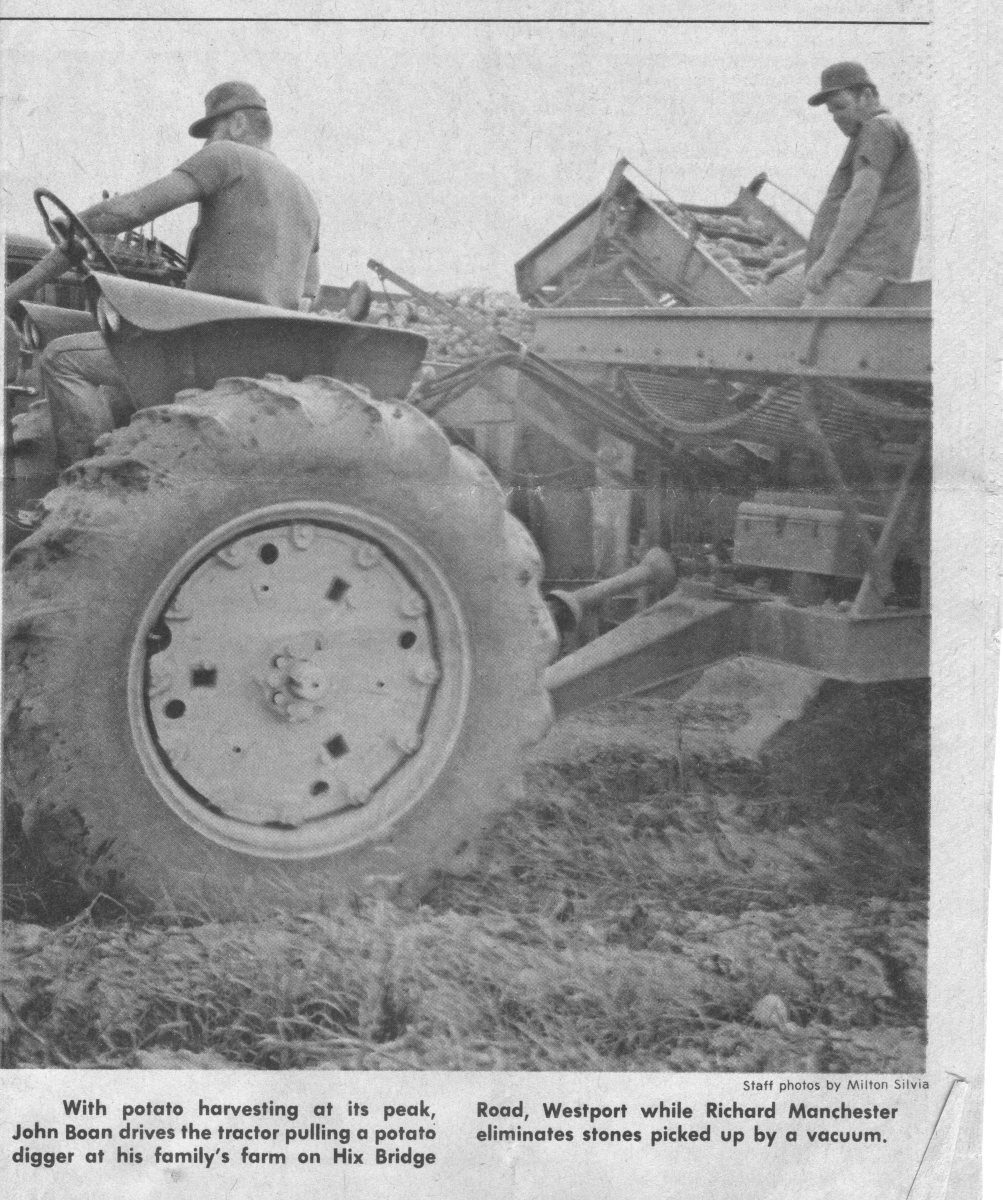 Harvesting-potatoes