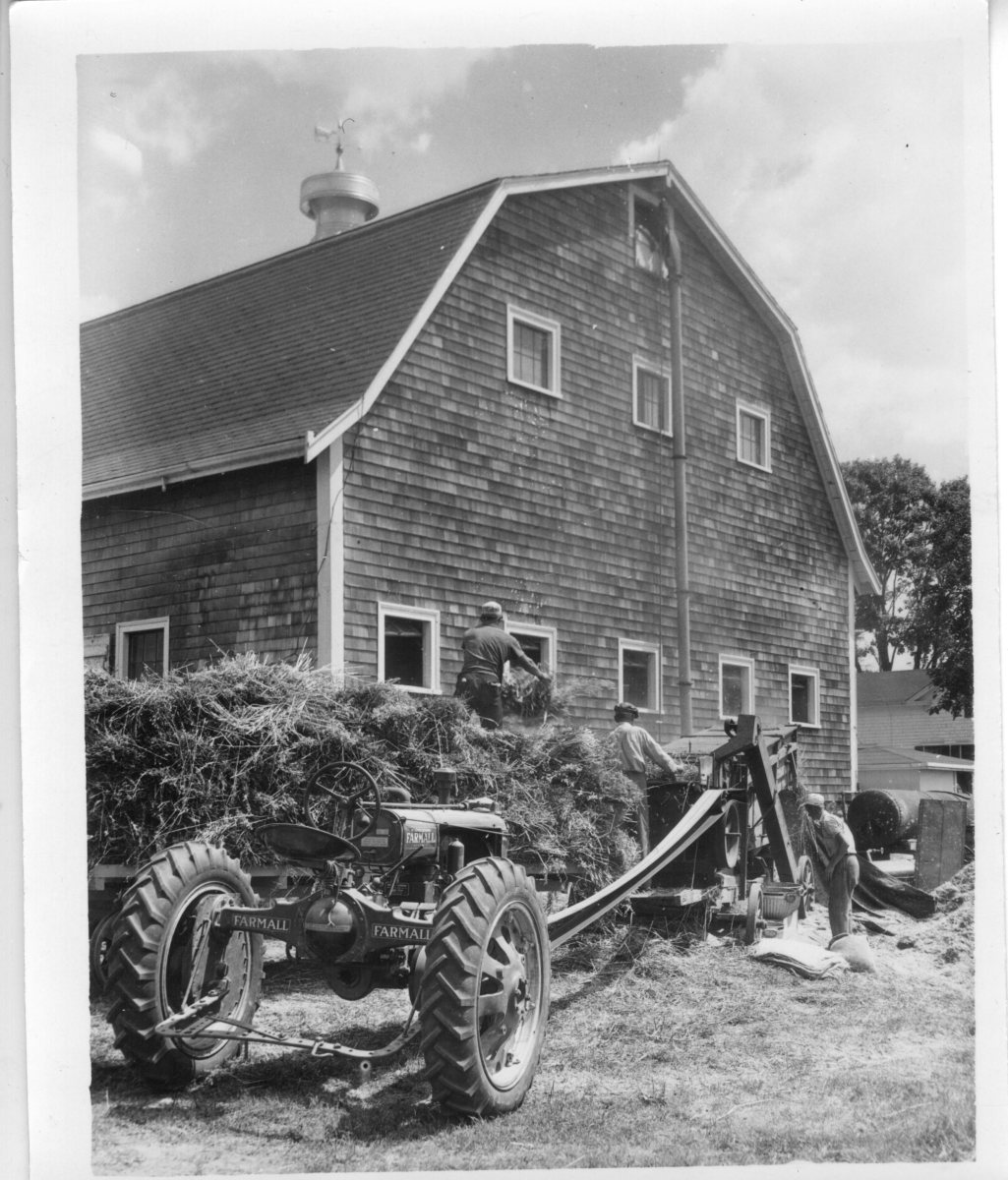 Threshing-oats-1932-2