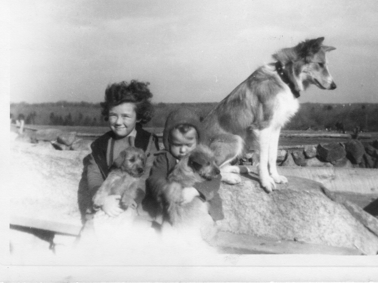 Charlene-Nancy-Tammy-dog