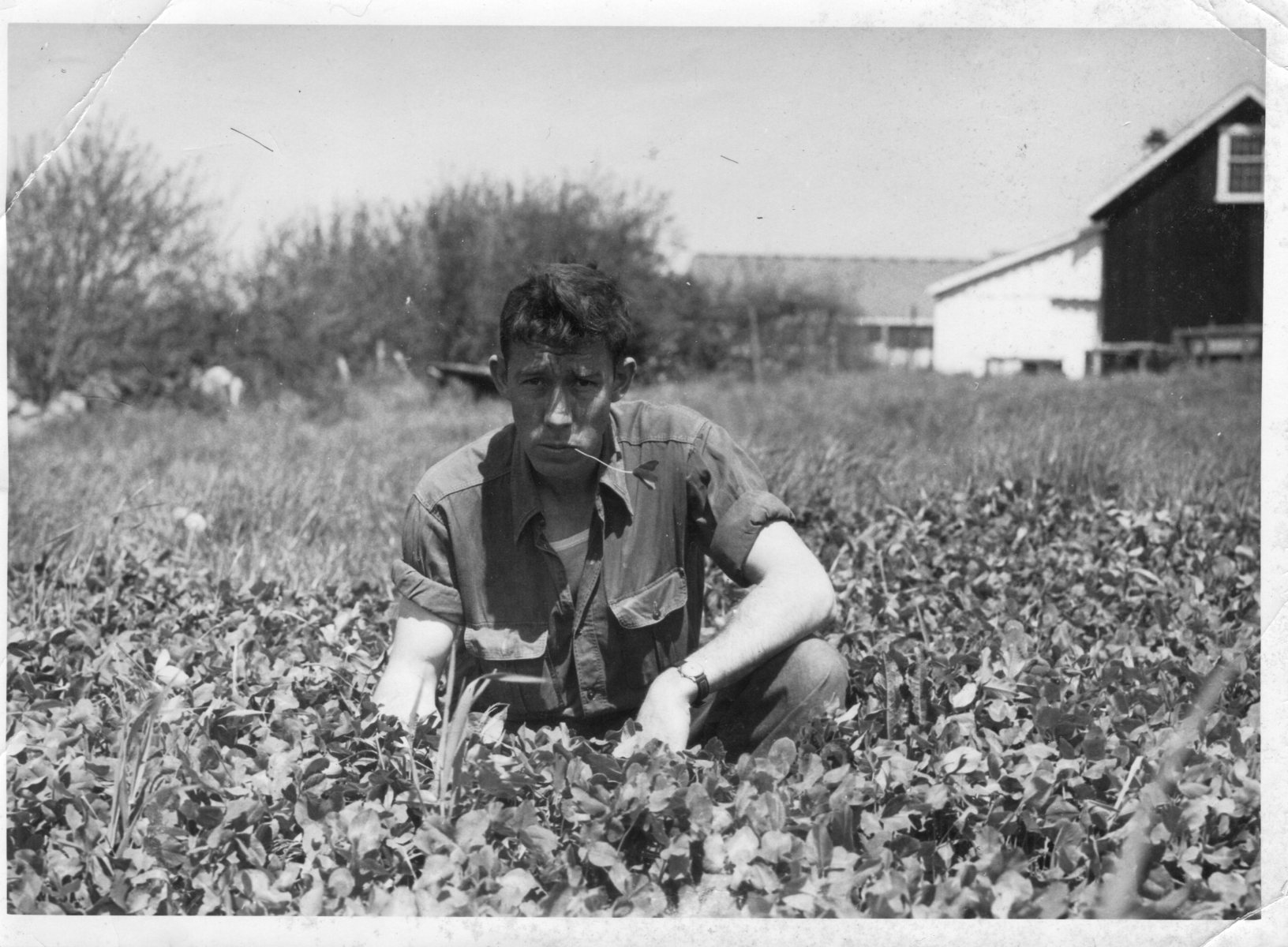 Charlie-Keith-at-Tuckerman-Farm