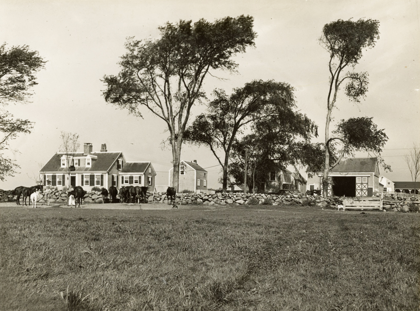 Little-Sunswick-Farm-1950s