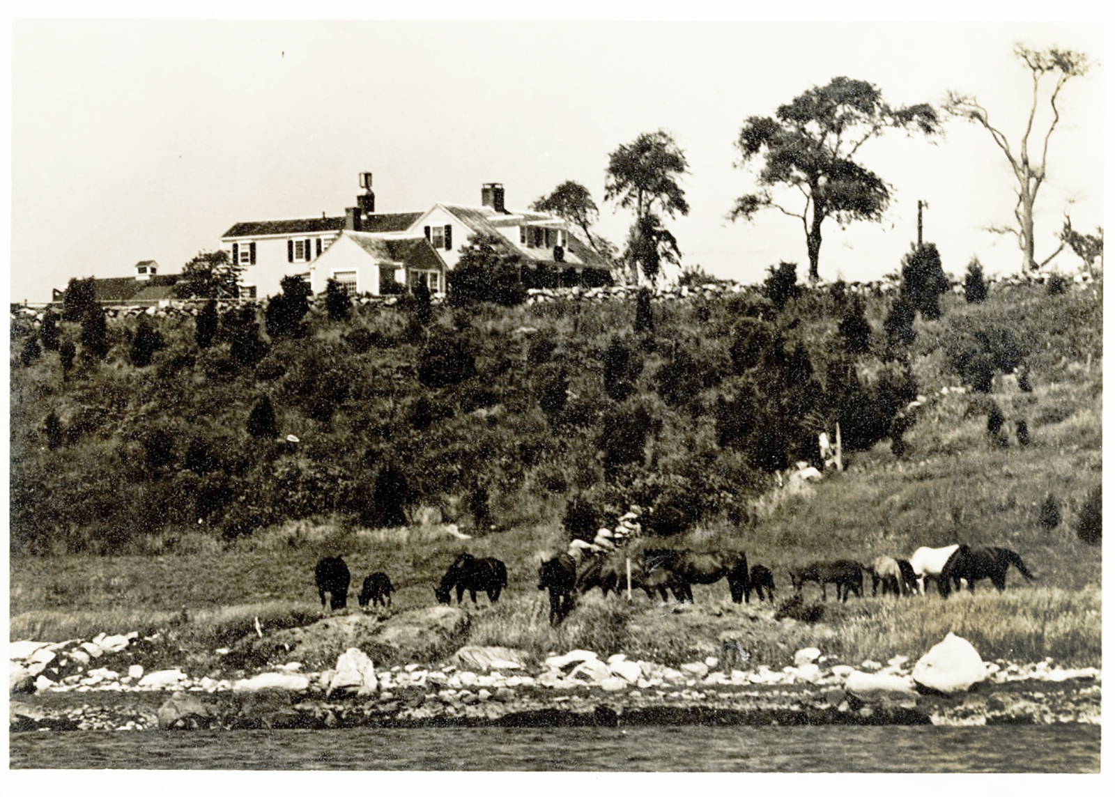 Little-Sunswick-Farm-1960s