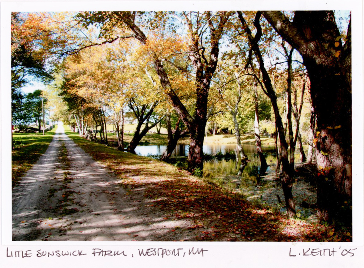 Little-Sunswick-Farm-Driveway