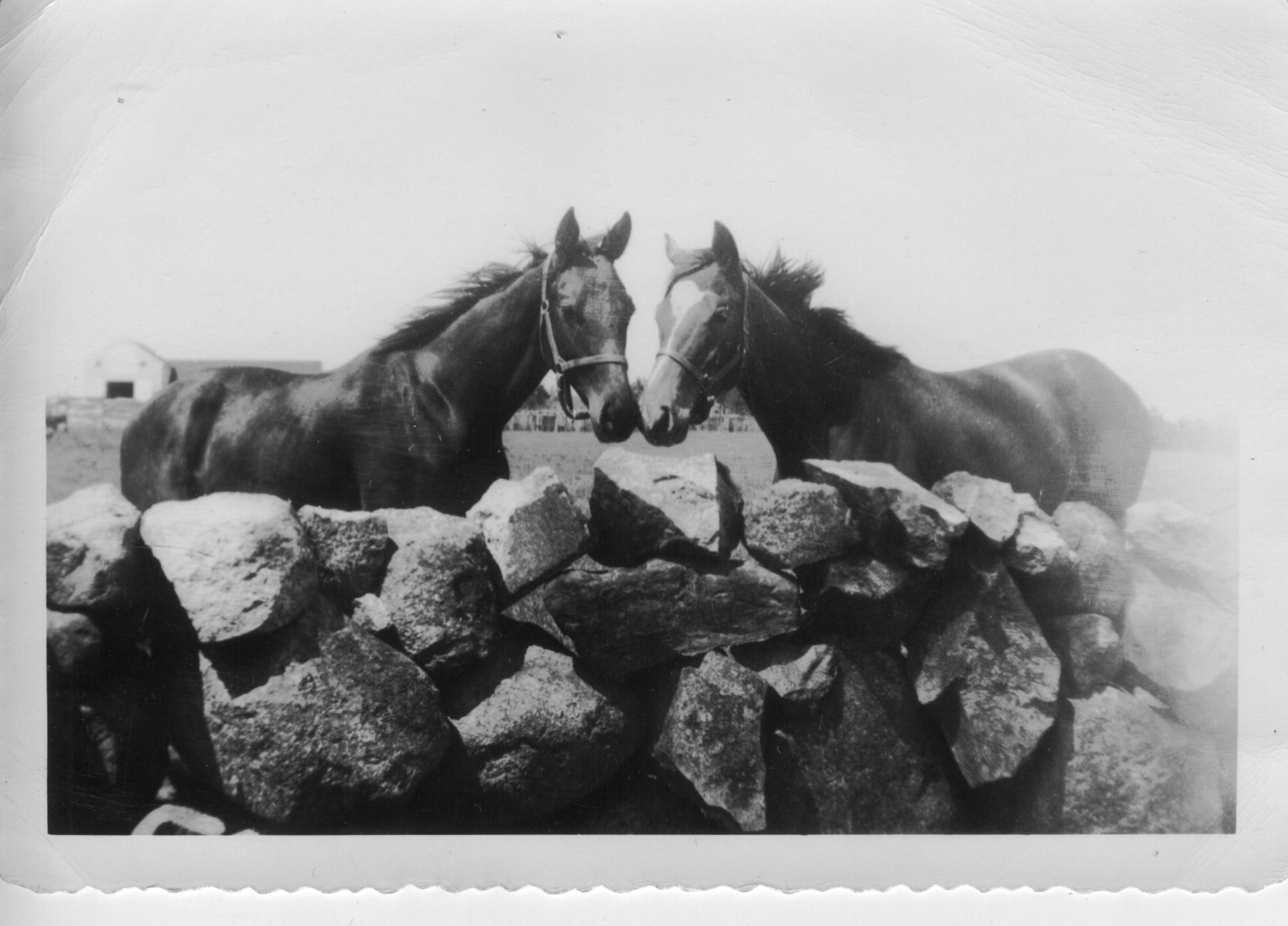 Tuckerman085