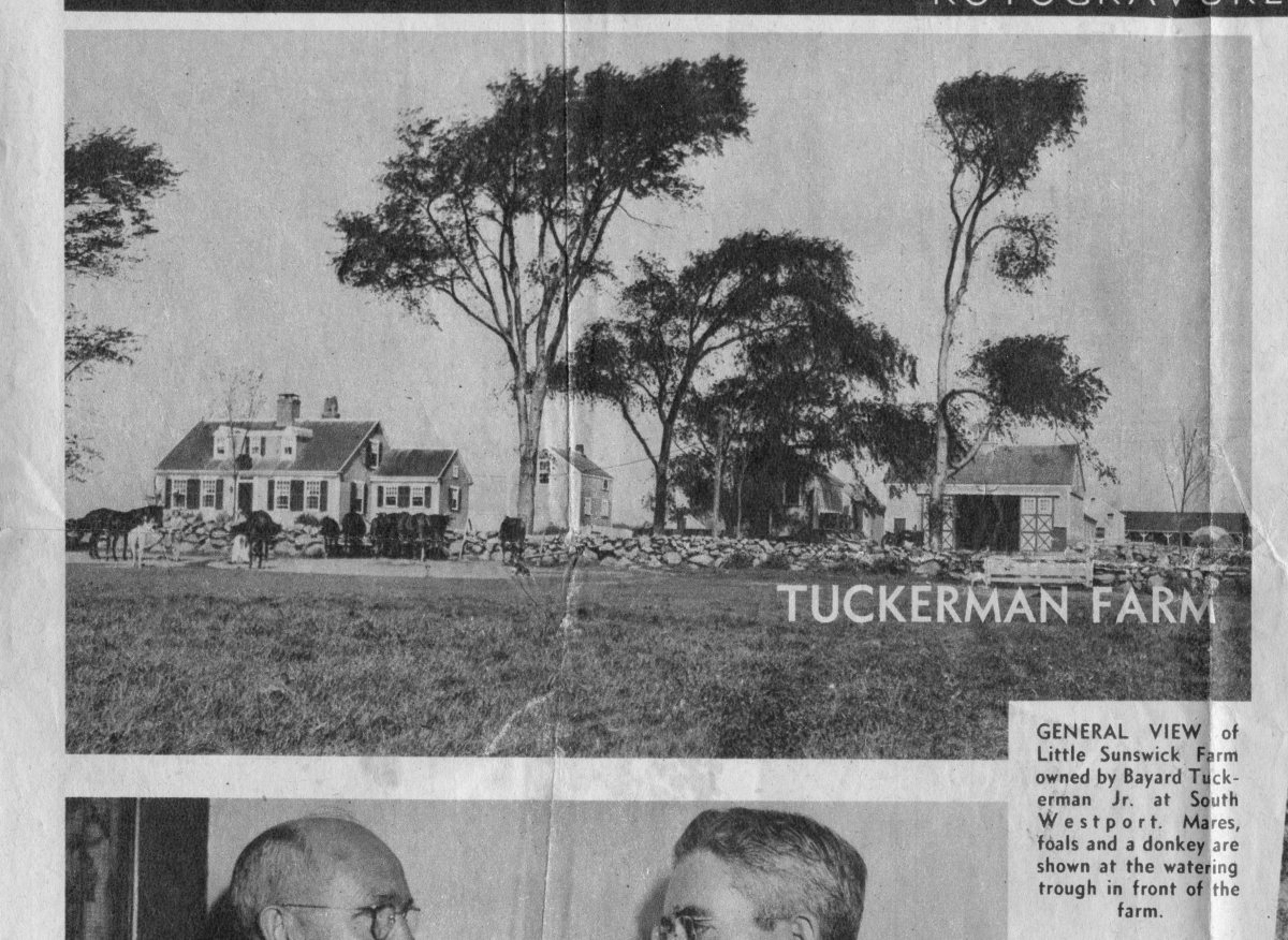 Tuckerman096