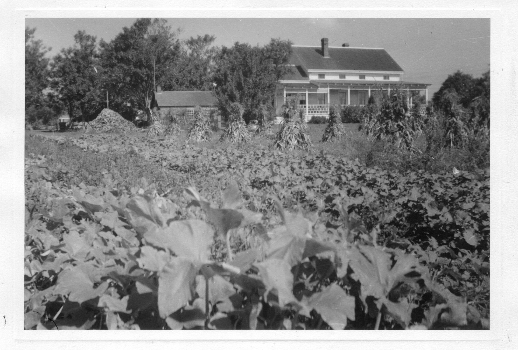 1941-Meaders-Maple-Lane-Farm