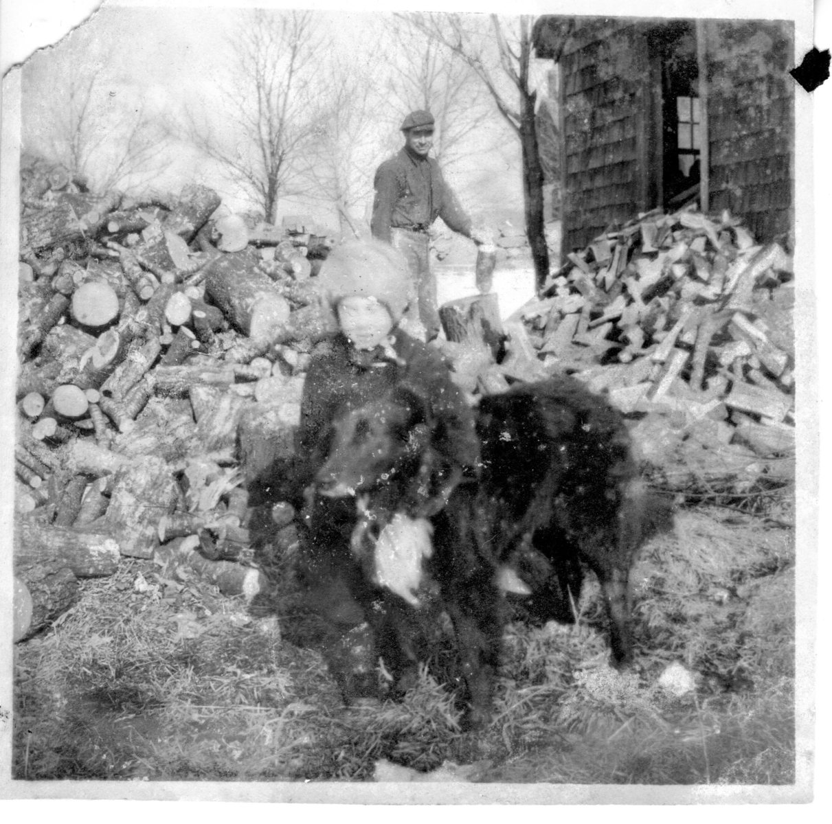 2-1-1922-Meader-woodpile
