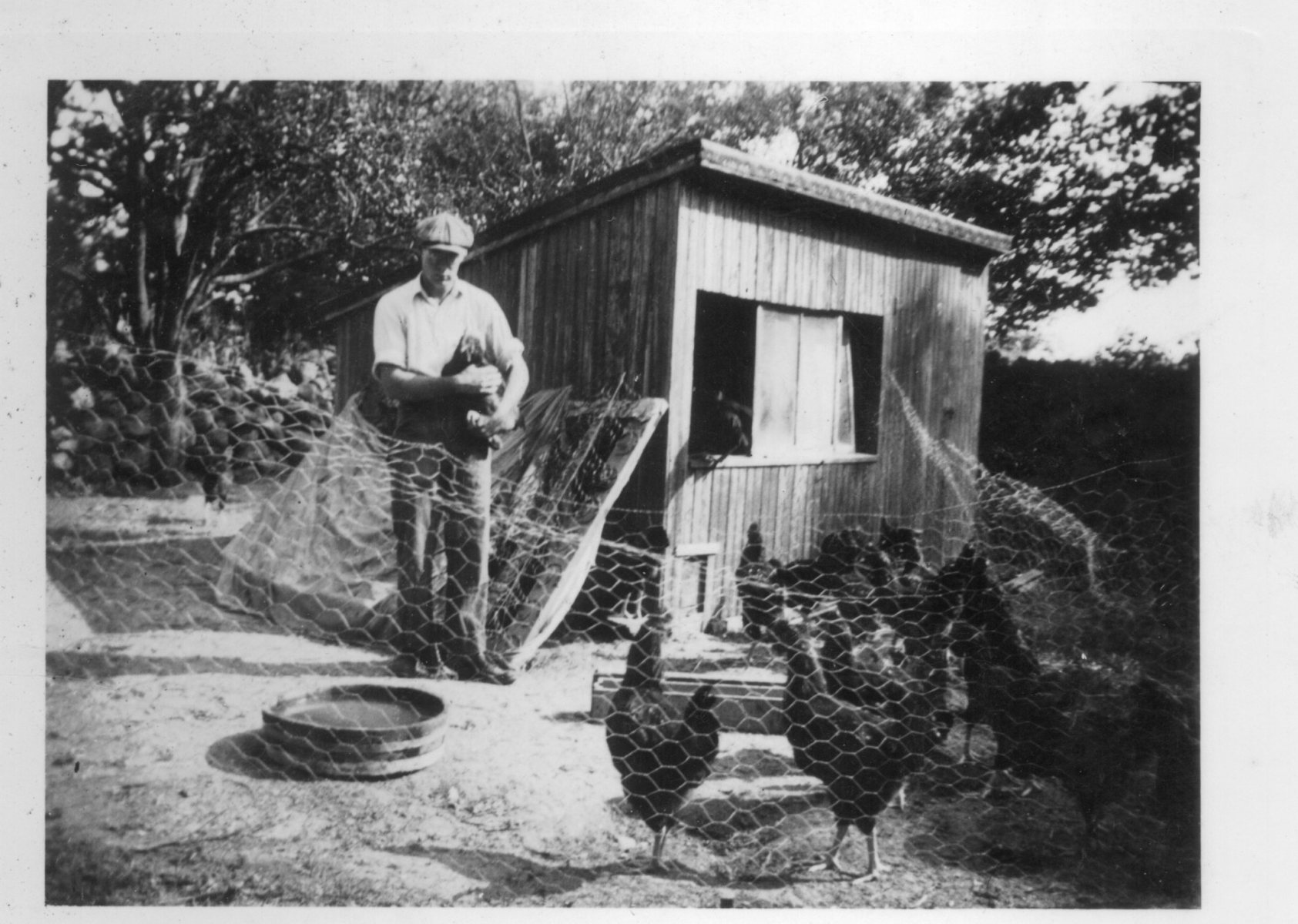 8-20-1939-Selling-rooster