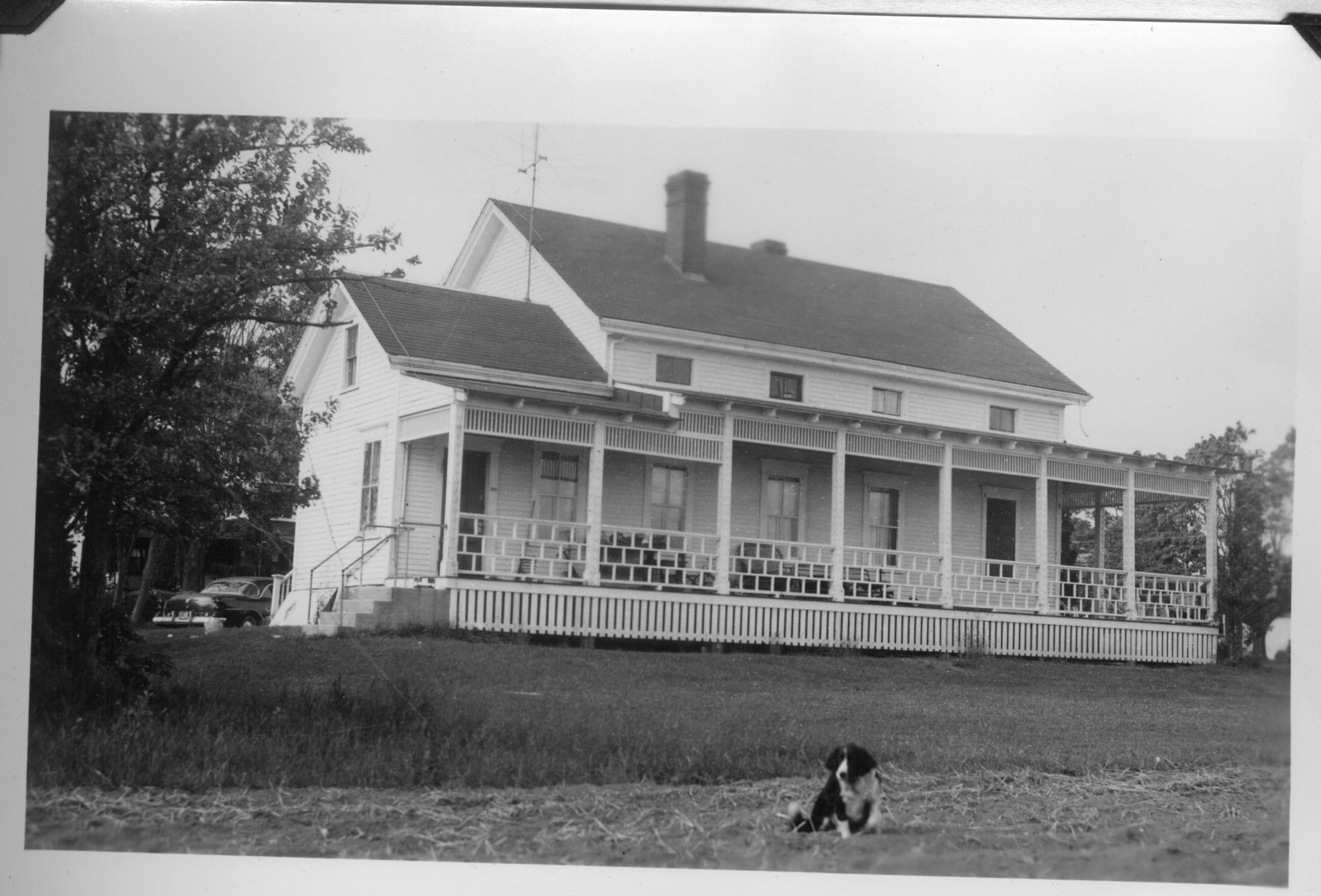 Bootsie-Dog