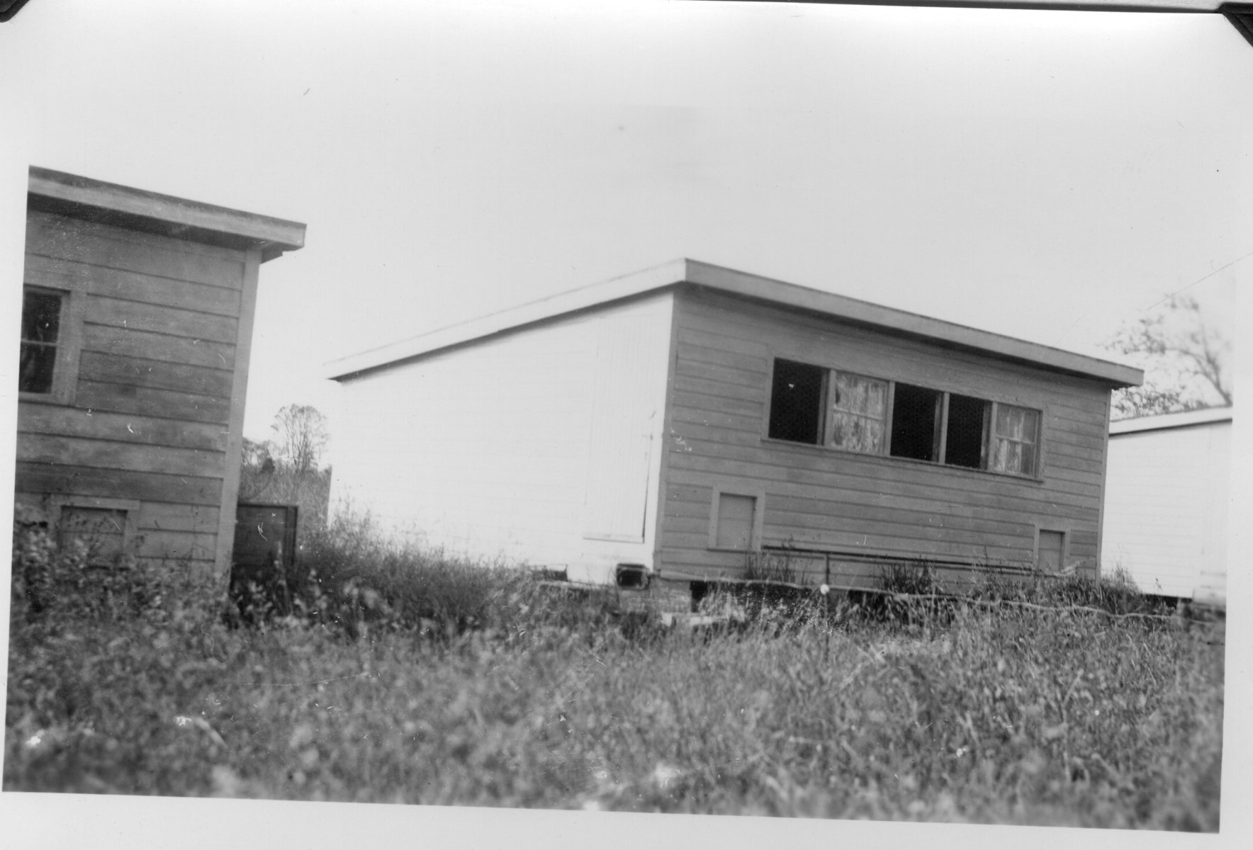 Hen-House-5