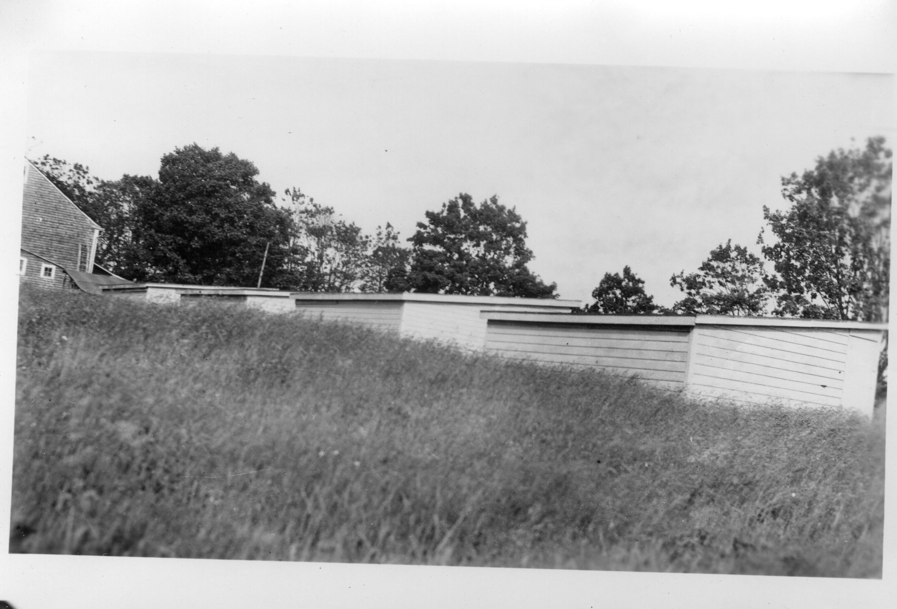 Hen-house-3