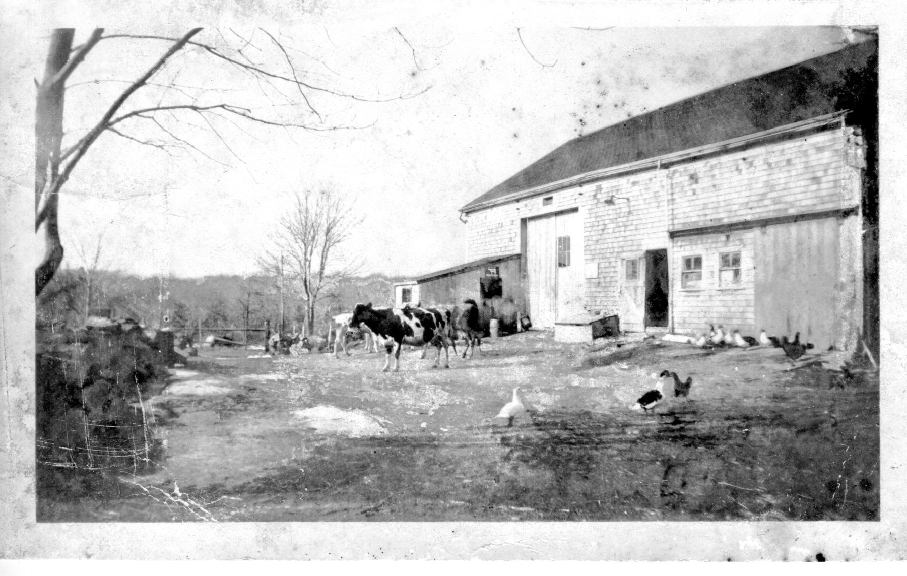 Meader-Barn