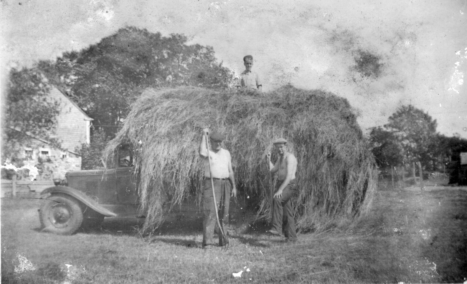 Meader-haying-with-truck