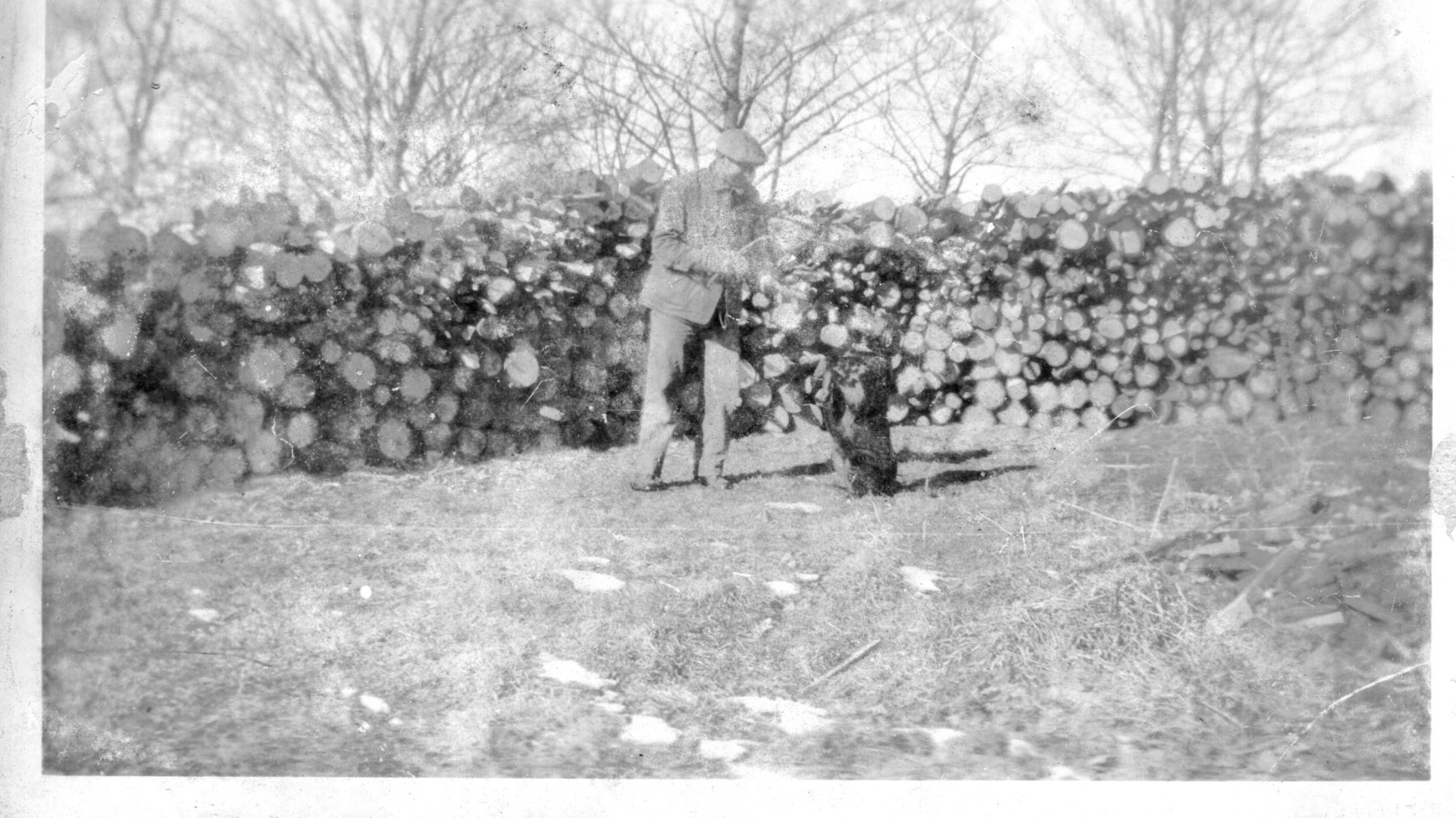 Meader-woodpile-1929