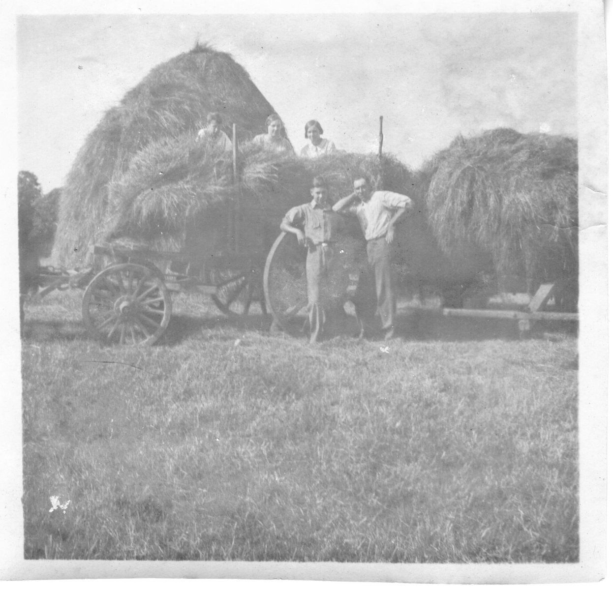 Meaders-haying