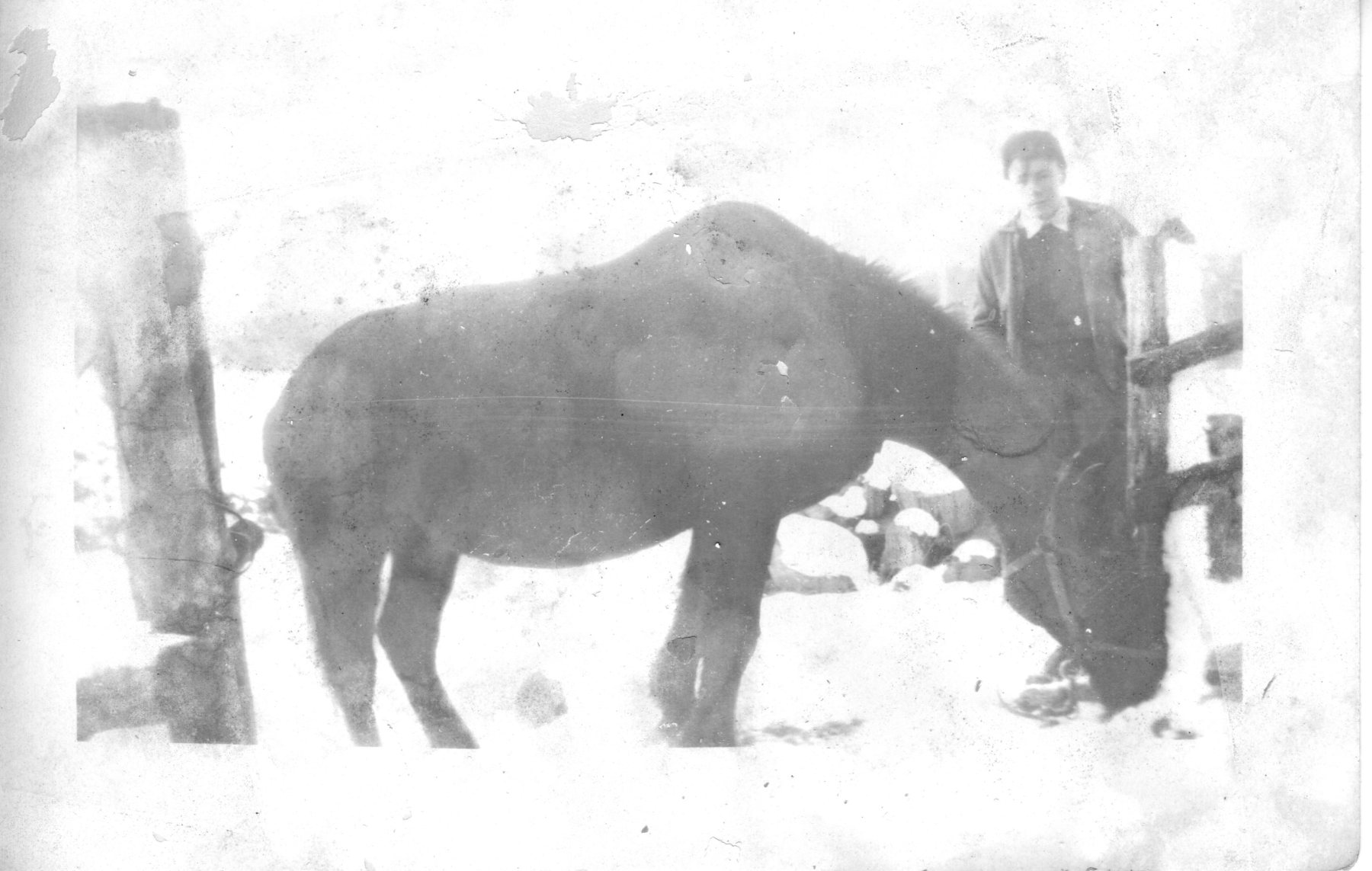 One-of-Blacks-at-Meader-farm