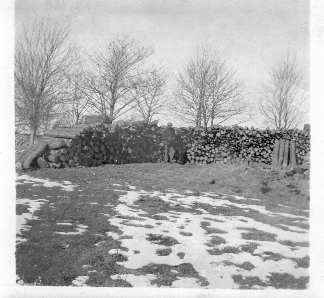 Woodpile-1929