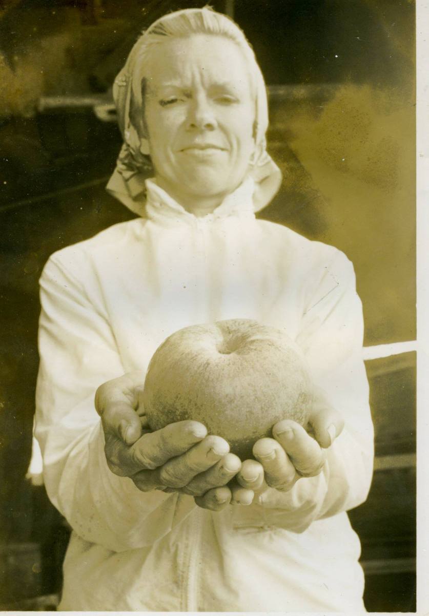 Doris-Mills-and-20-ounce-apple