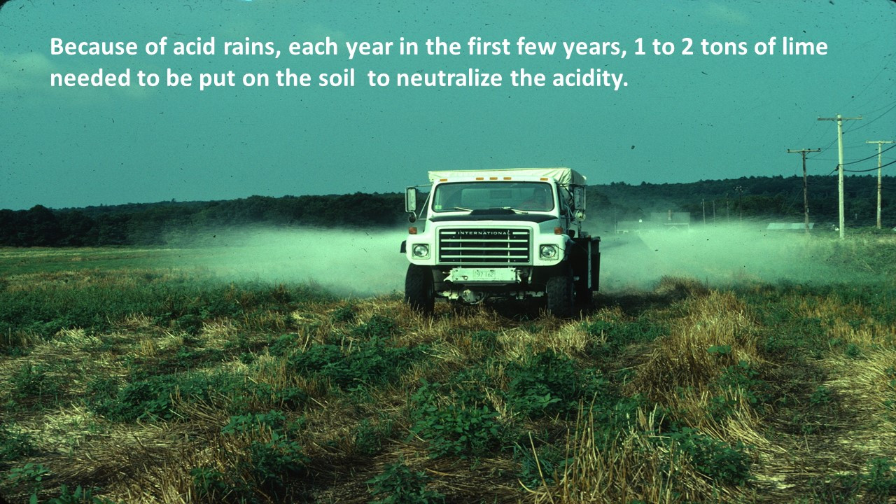 Slide19