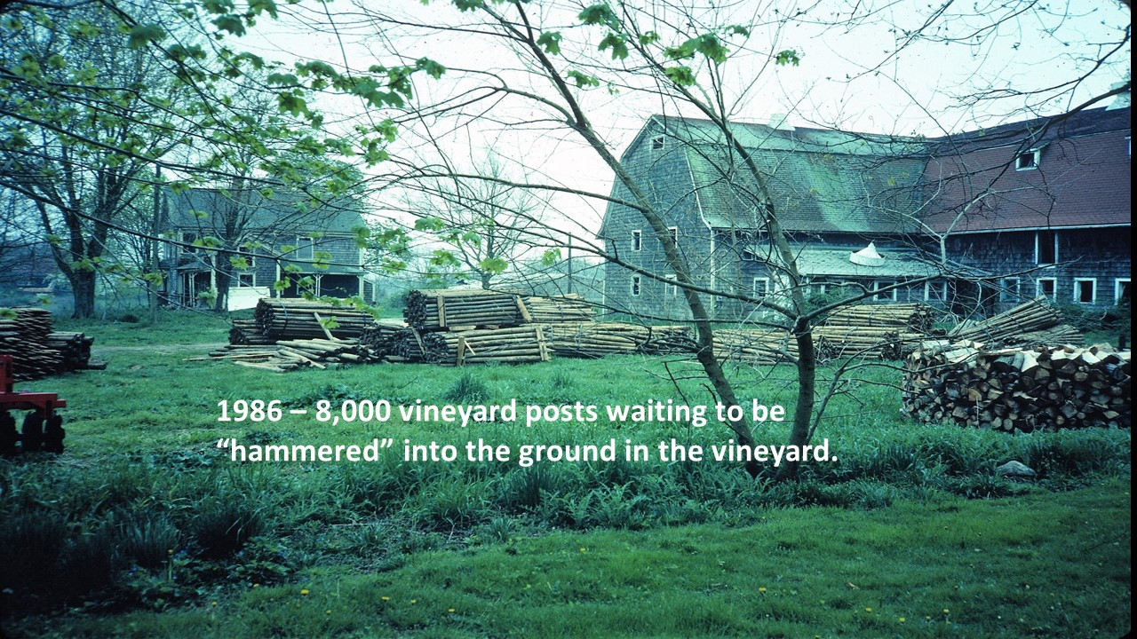 Slide24